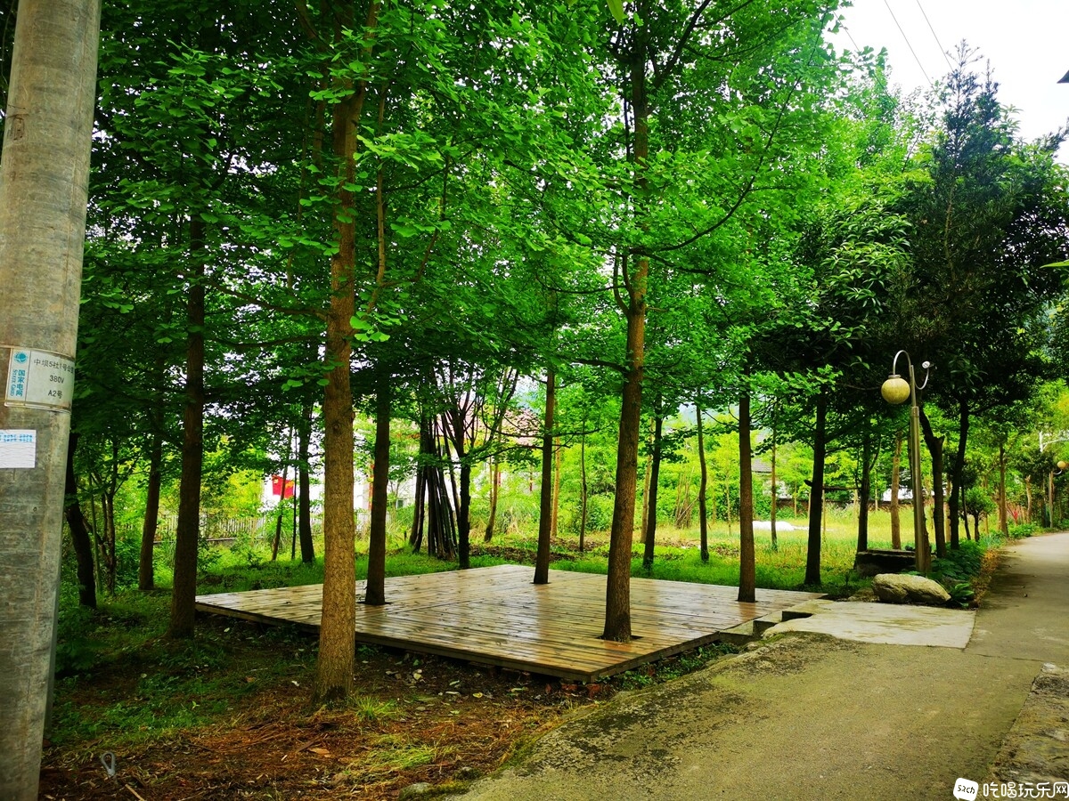 IMG_20220427_095236_副本.jpg