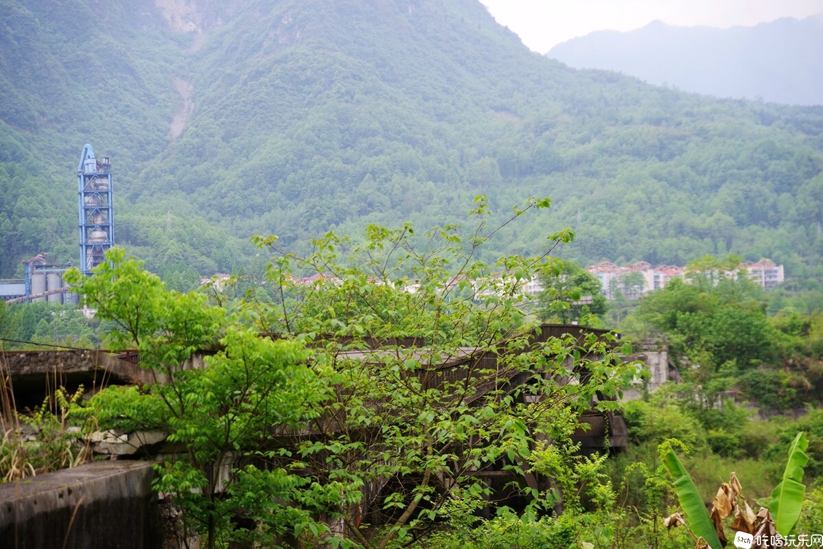 IMGP8257_副本.jpg