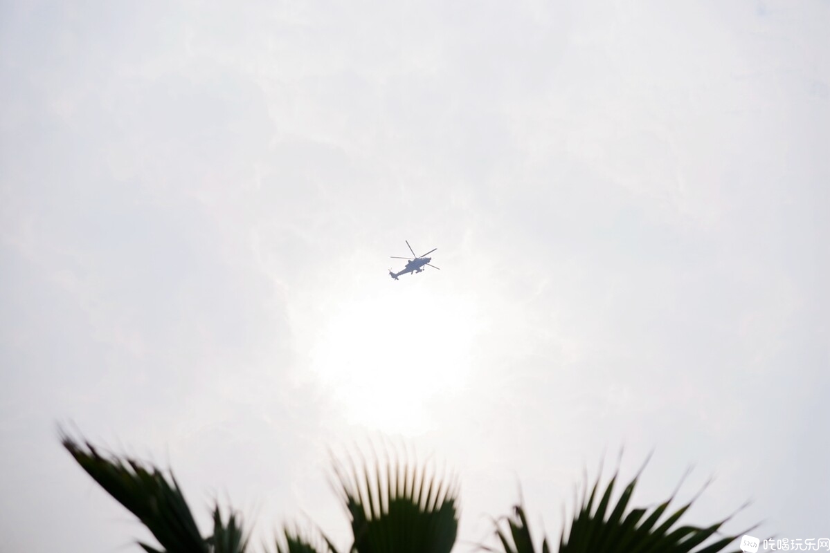 IMGP8417_副本.jpg